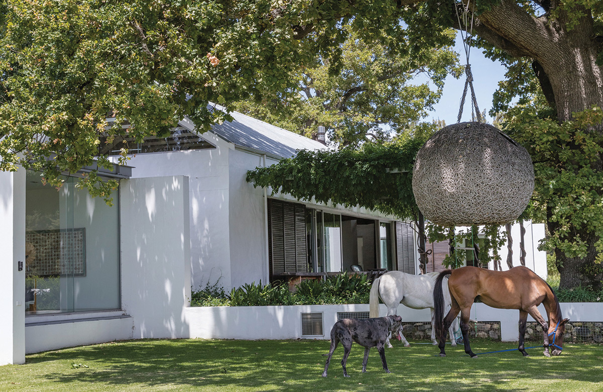 Maison Wine Farm