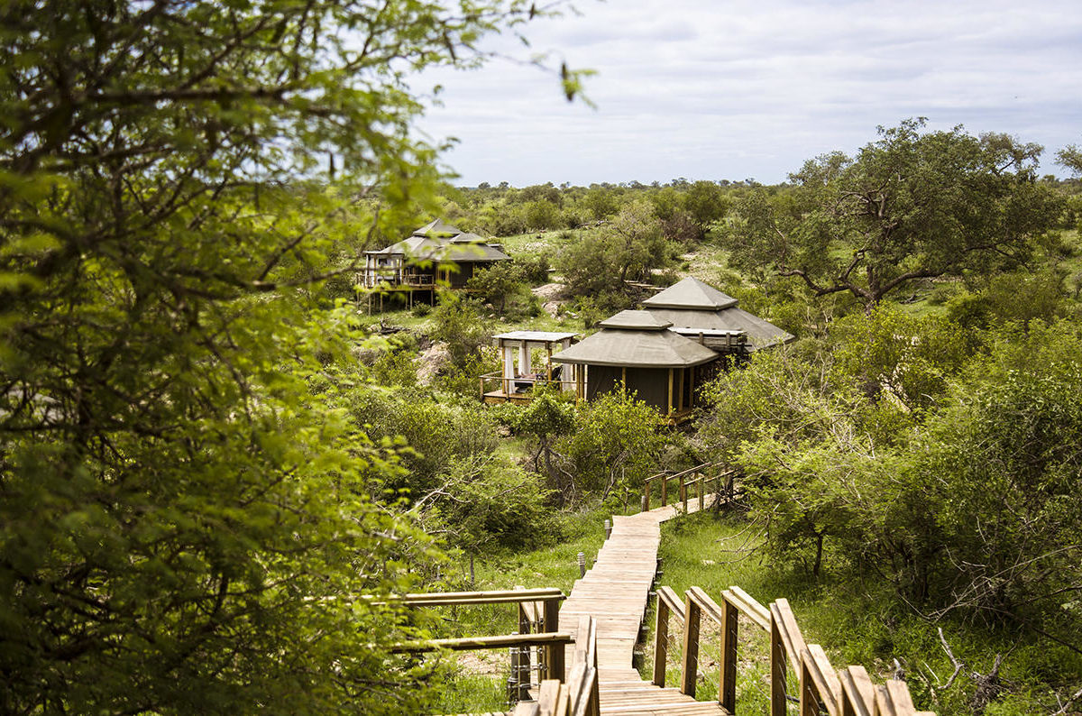 Hilltop Simbavati Safari