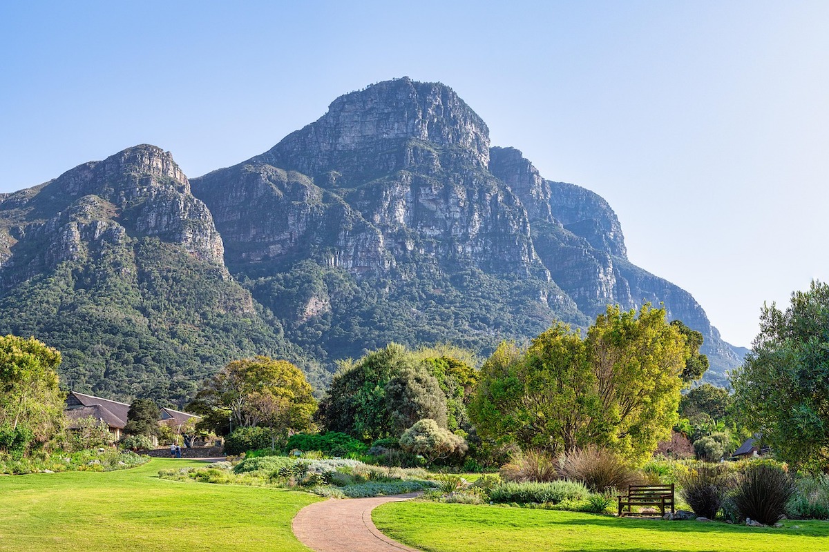 what to do in cape town